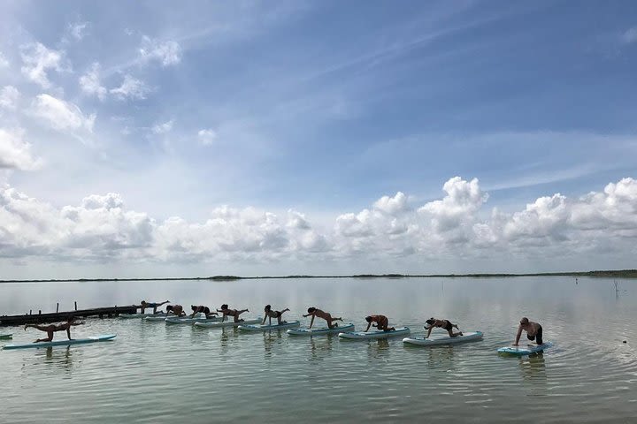 Stand Up Paddle Yoga Class at Private Lagoon image