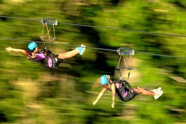 Whistler Superfly Ziplines image