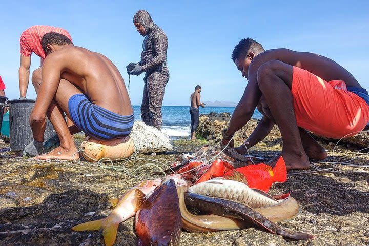 Full Day Island Tour, São Vicente (excludes lunch) image