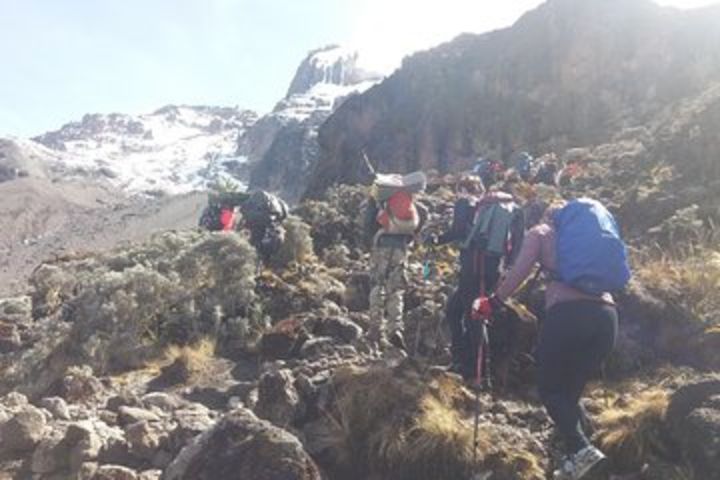 Machame 7-Day Trek + 2 Hotel Nights image