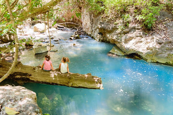 Full-Day Private Hiking Tour of La Leona Waterfall with Lunch image