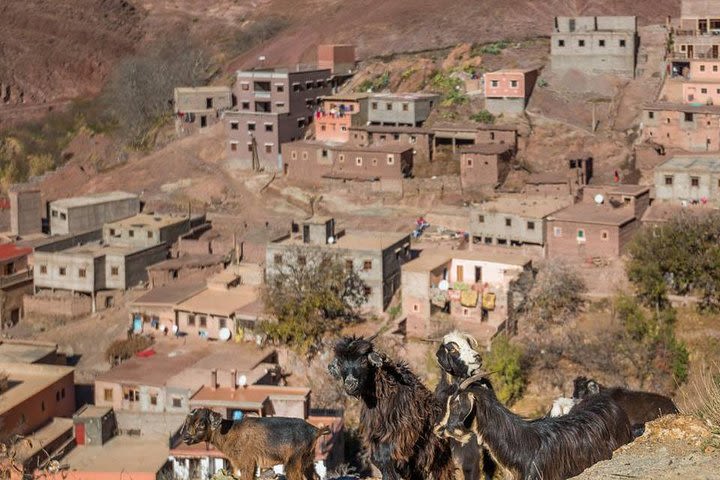 3 Day Berber Villages Trek Marrakech ( Imlil To Setti Fatma Ourika Valley ) image