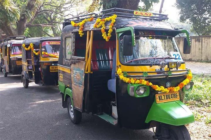 Kochi Shore excursion for cruise passengers with a local guide and Tuk Tuk ride image