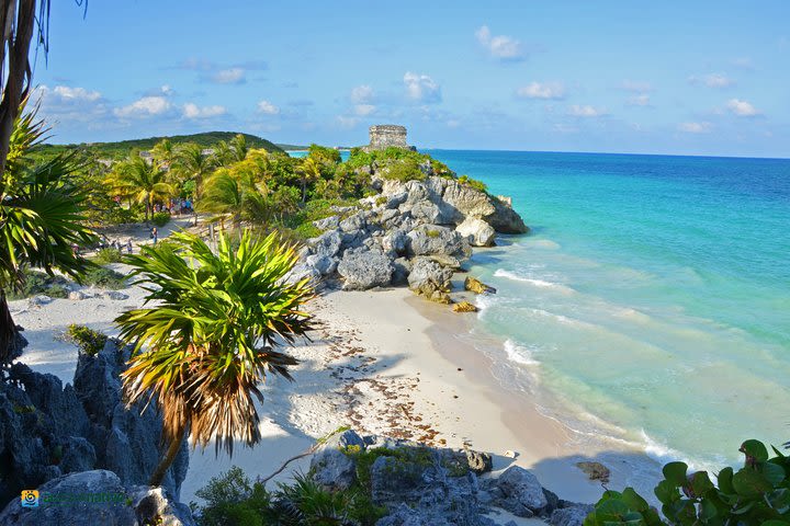 4x1 Tulum, Coba, Cenote and Playa del Carmen all for 1 price in 1 day. image