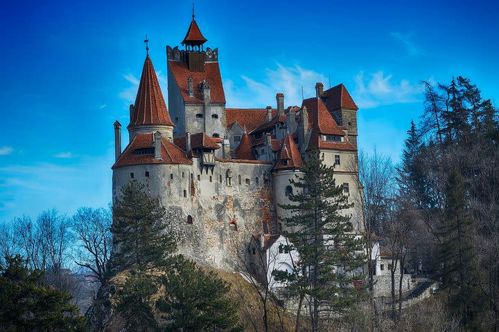 Halloween at Dracula's Castle image