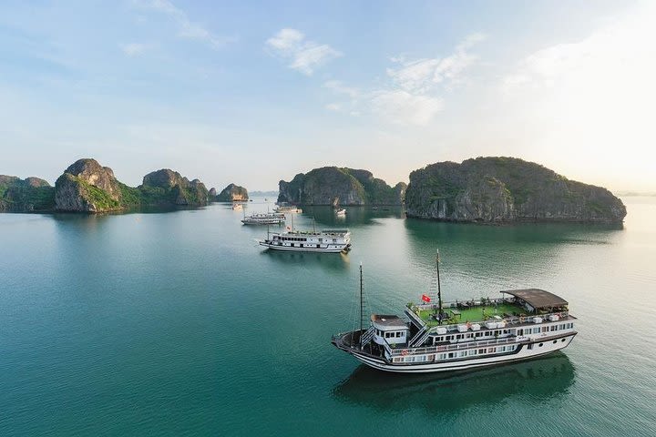 Swan Cruises Halong, Ha Long | Best Price Guarantee| Tour 2D/1N image