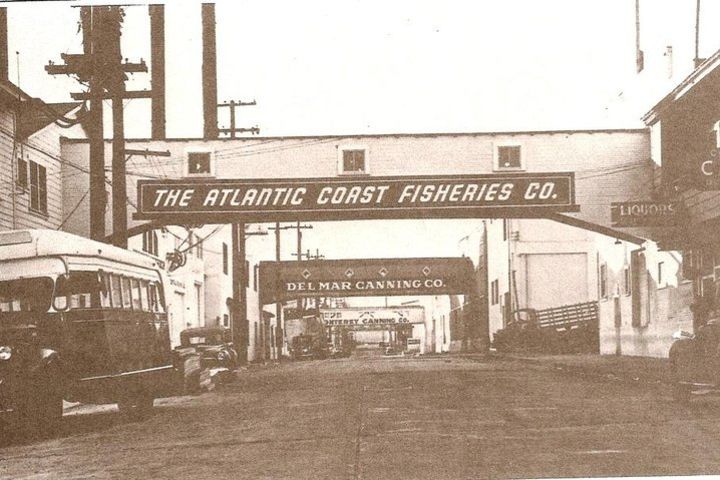 The Original Monterey Walking Tours : Guided Tours of Cannery Row  image