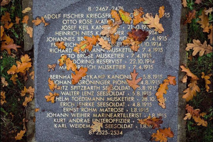 Flanders Fields Remembrance Tour image