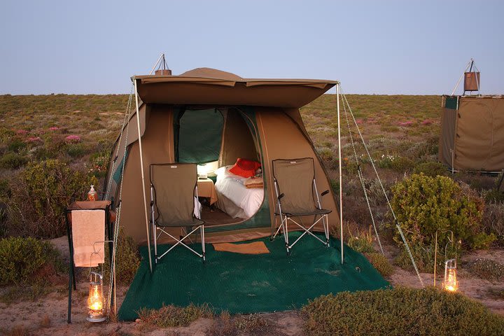 3 Days Kruger Park Safari - Camping image