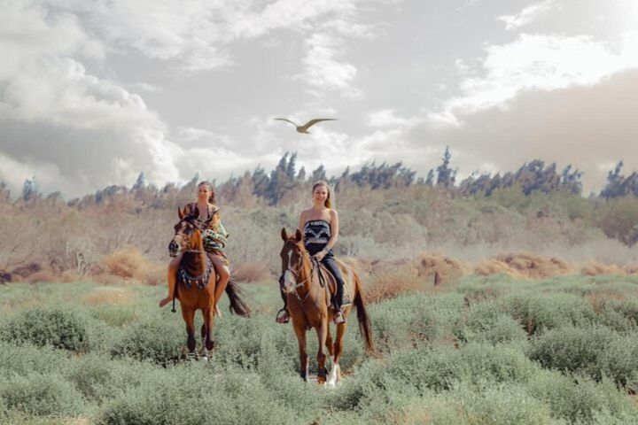 Agadir Horse Riding Adventure image