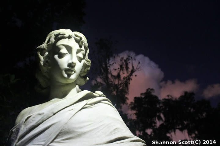 Savannah's Bonaventure Cemetery After Hours Group Tour image