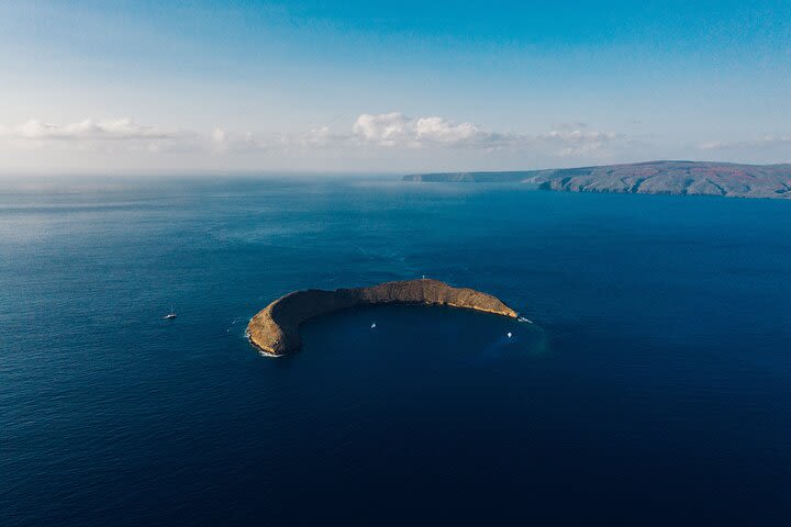 Molokini Crater and South Maui Coast Adventure image