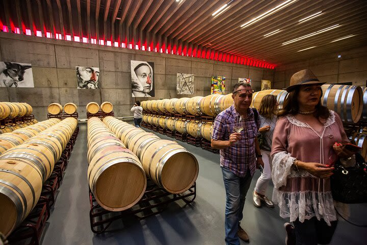 Private Full-Day Ribera del Duero Wine Tour from Madrid image