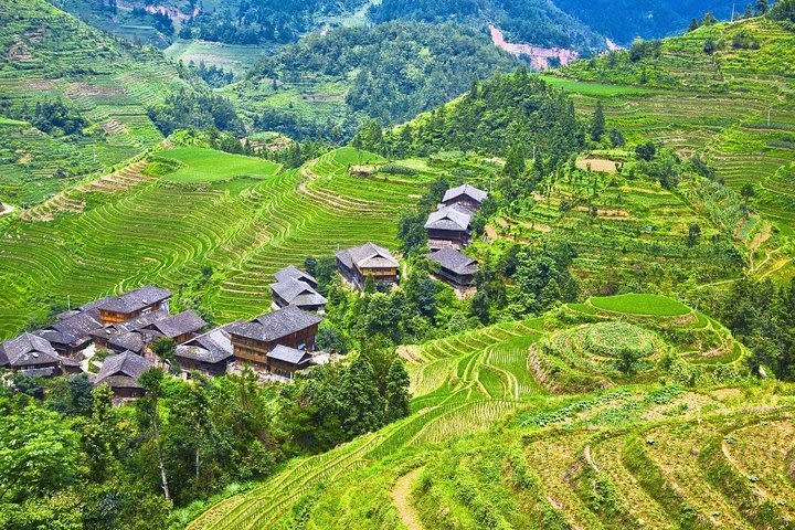 Private Tour of Dragon's Backbone Rice Terraces in Longsheng image