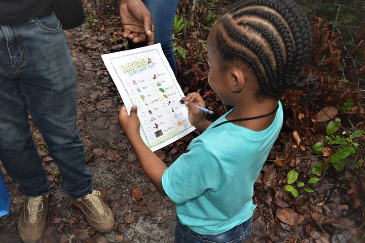 Exploring Guyana's Rainforest for KIDS: Family Adventure image