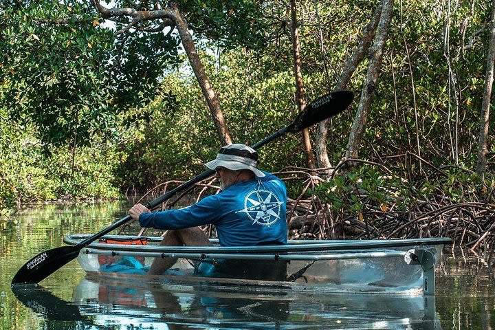 Clear Kayak Tours in Fort Pierce image