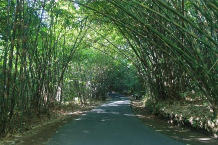 Bali Nature Countryside Tours image