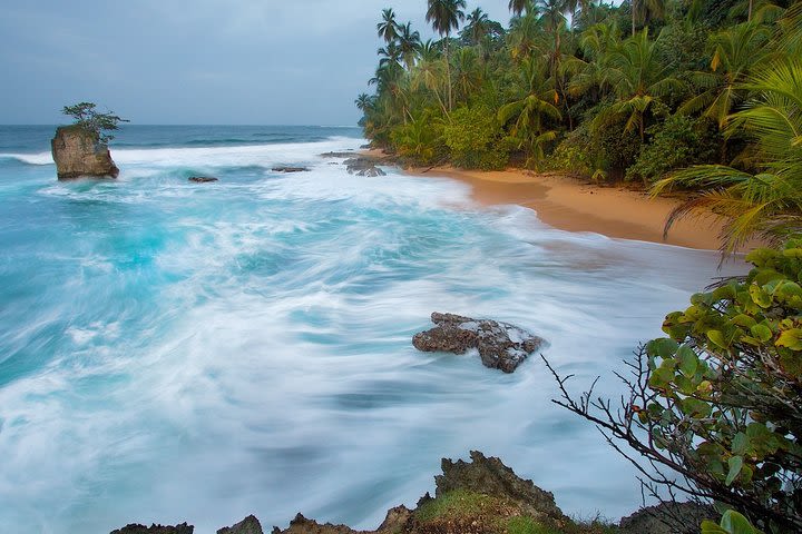 Private Day Trip from San Jose to Cahuita National Park (Caribbean Coast) image