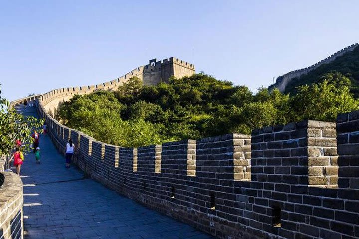 Private Day Tour: Mutianyu Great Wall and Summer Palace or Hutong Tour image