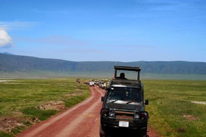 2 days Safari to Lake Manyara and Ngorongoro crater image