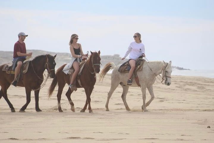 Horseback Riding Beach & Desert Adventure image