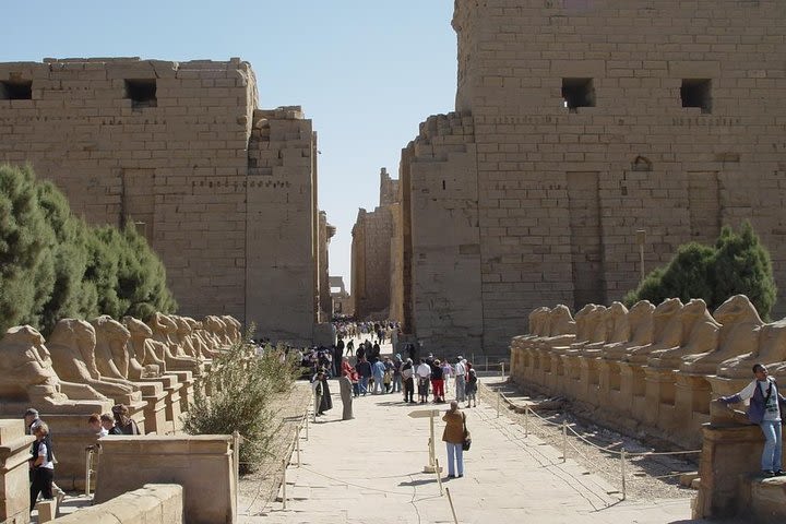 Luxor Day Tour by Sleeper Train image