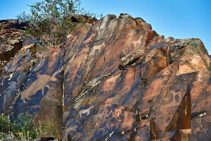 Day Trip to Tanbaly Petroglyphs image