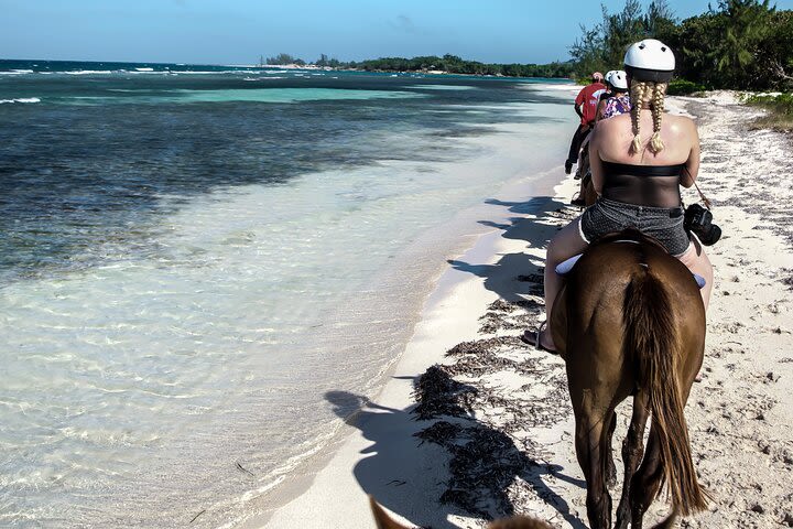 Horseback Riding- Dunn's River Falls and lunch in Ocho Rios image