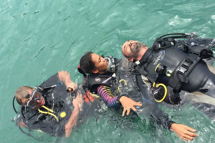 Rescue Diver and EFR (Starts from Ko Kut) image