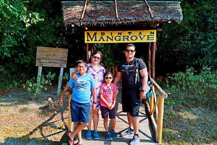 Bintan Mangrove Discovery Tour  image