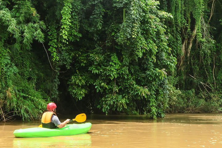 Full-Day Chiang Dao Kayaking, Caving, and Jungle Tour from Chiang Mai image