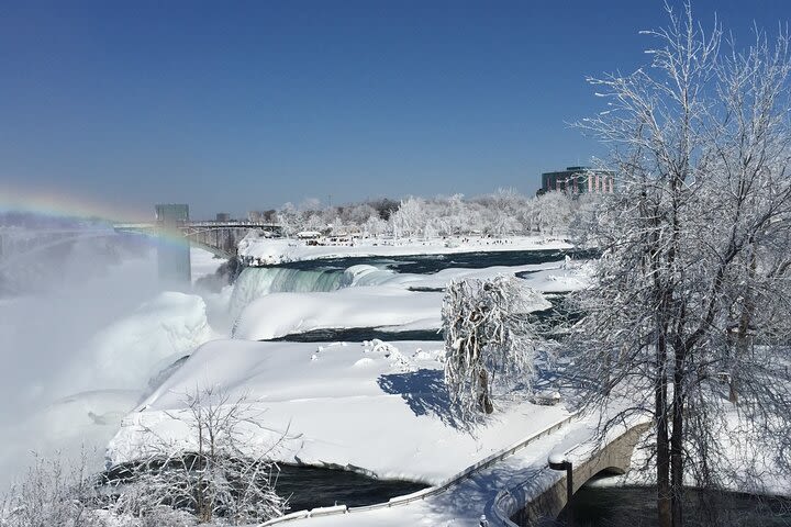 Niagara Falls Winter Wonderland USA Tour (small groups) image