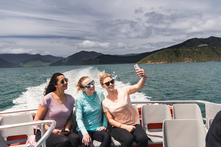 Sunday Cruise exploring the remotest part of The Marlborough Sounds image