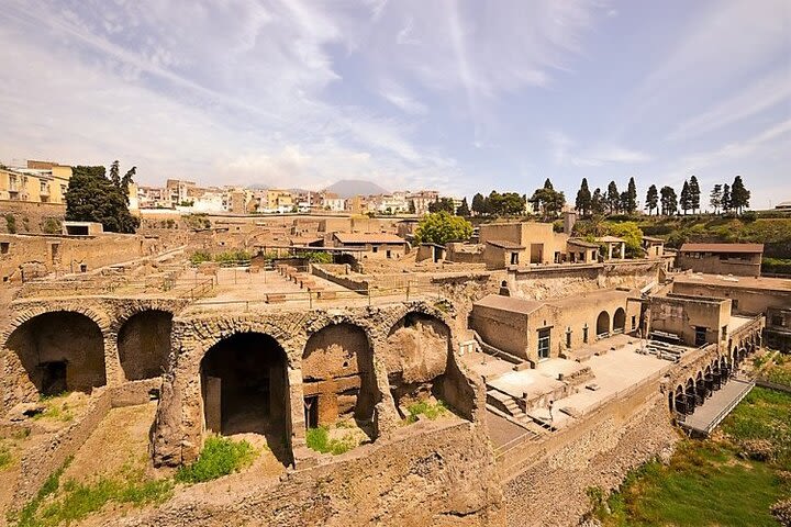 Half-Day Exclusive Private Tour of Pompeii and Herculaneum image