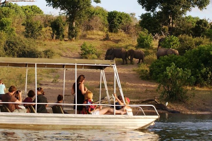 Chobe Day Trip from Victoria Falls image