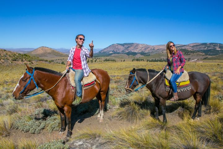 Bariloche Horseback Riding & Asado Tour image