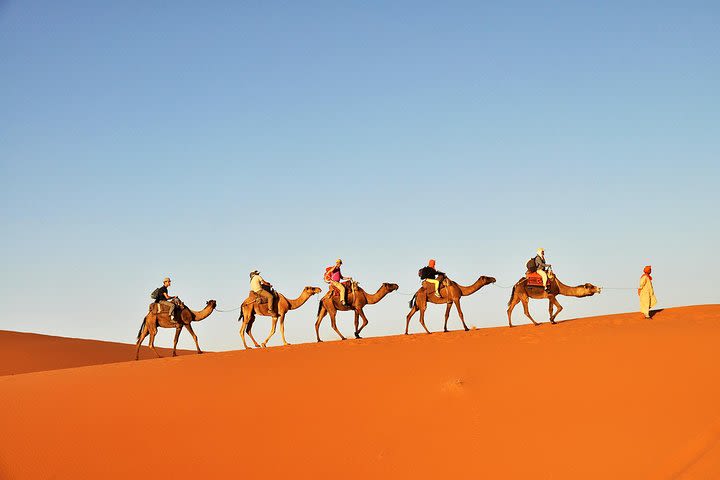 3-Day Tunisia Sahara Desert Camel Trek from Douz image