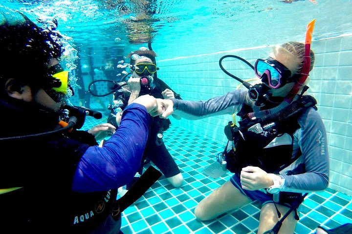 1-Day Scuba Review in Koh Chang image