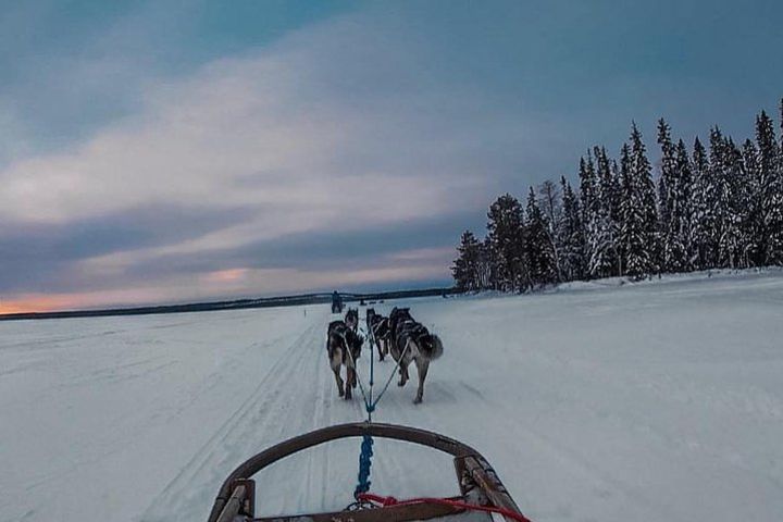 17 km Husky Safary into the Arctic Wilderness image