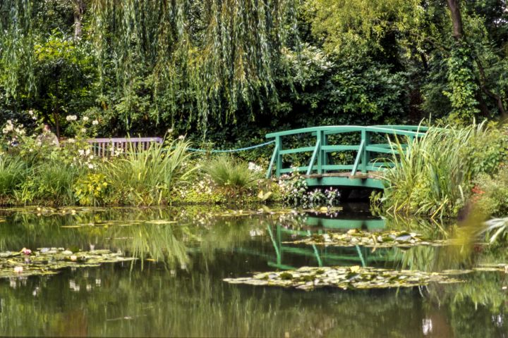 Giverny with Monet’s House and Gardens Half Day Tour image