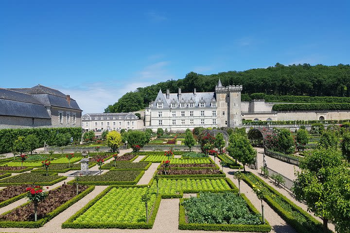 Loire Valley Half Day Tour from City of Tours : Villandry and l'Islette Castles image