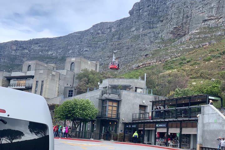 Small Group Tour Cape of Good Hope-Penguins & Table Mountain. image