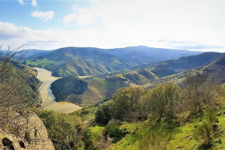 All Inclusive Private Douro Valley - Wine Tasting - Pic-Nic Lunch - Sightseeing image