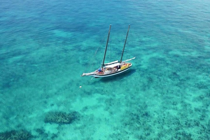 Key West Schooner Backcountry Eco-Tour: Sail, Snorkel & Kayak image