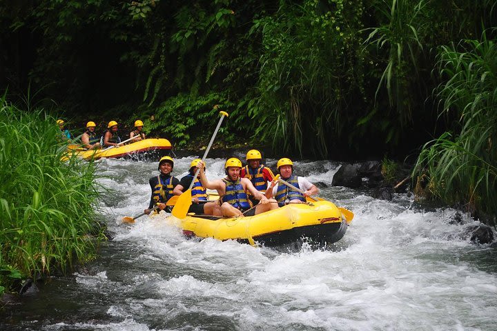 Telaga Waja Rafting and Jimbaran Seafood Dinner Packages image