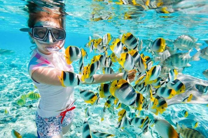 Egypt Family Holiday - Fun & Discovery image