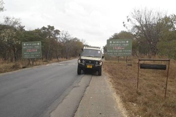 4days 3nights Safari To Mikumi, Ruaha National park And Maasai Village image