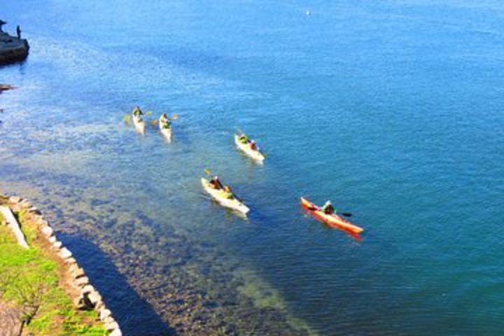 Half-Day Sydney Middle Harbour Guided Kayaking Eco Tour  image