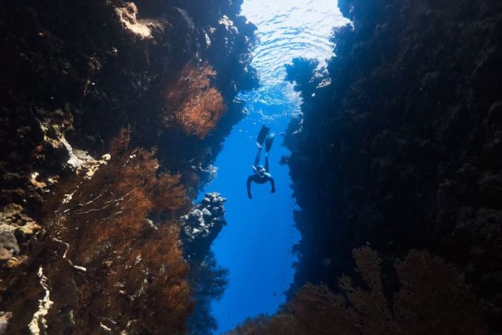 Scuba Diving in Grande Island, Goa  image