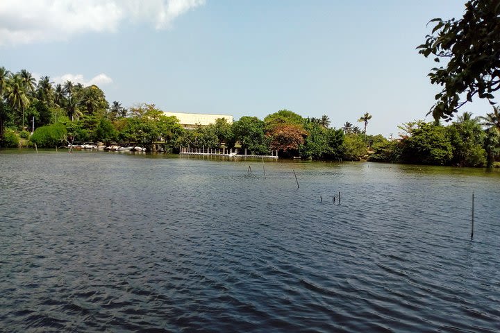 Koggala Lake Boat Tour image